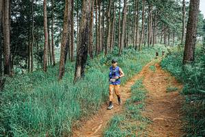 BIB: 
                            <button type="button" onclick="openModal(25679312)" class="btn btn-primary btn-sm float-right btn-popup" data-toggle="modal" data-target=".modal-high-quality">
                        <i class="fas fa-shopping-cart"></i> Add to Cart
                    </button>
                                            <button type="button" onclick="isThisMe(25679312, true)" class="btn btn-success btn-sm float-right btn-popup btn-isme hidden" data-toggle="tooltip" data-placement="bottom" title="นี่คือรูปของคุณใช่ไหม คลิกที่นี่เพื่อเอาเข้าอัลบั้ม">
                        <i class="fas fa-plus"></i> Add to album
                    </button>
                    <button type="button" onclick="isThisMe(25679312, false)" class="btn btn-warning btn-sm float-right btn-popup btn-isnotme hidden">
                        <i class="fas fa-ban"></i> Remove from album
                    </button>